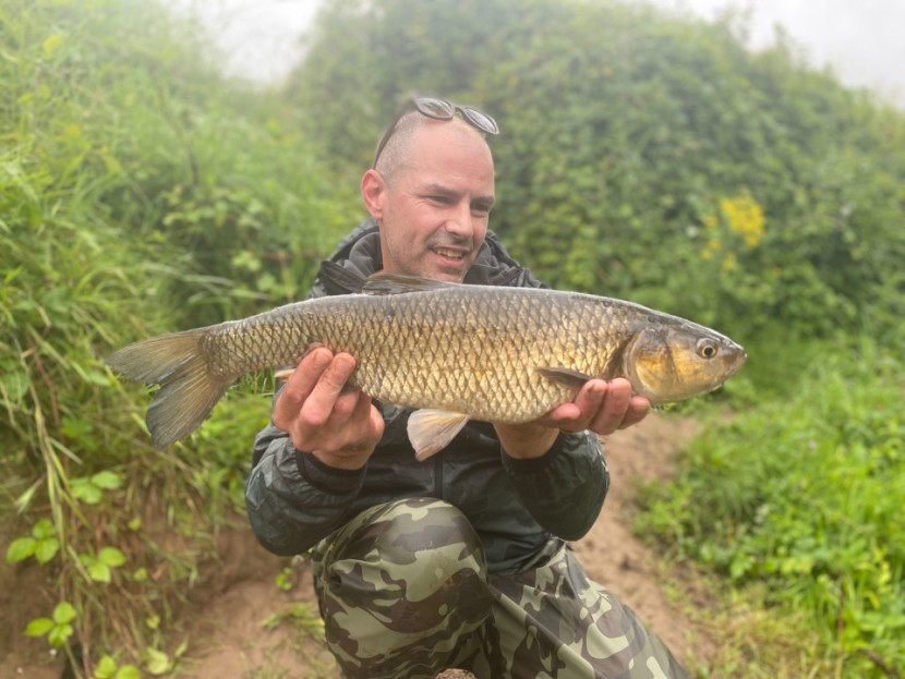 Home Fishery - AA from Buntingford